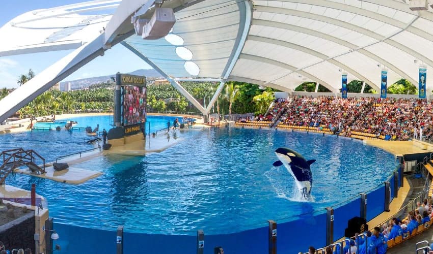 Loro Parque